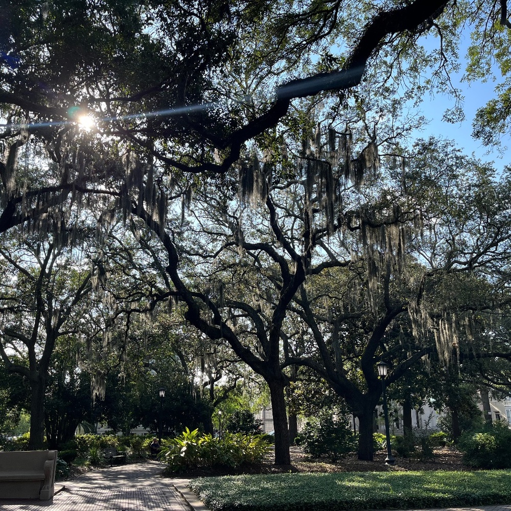 Meet your Posher, Janet